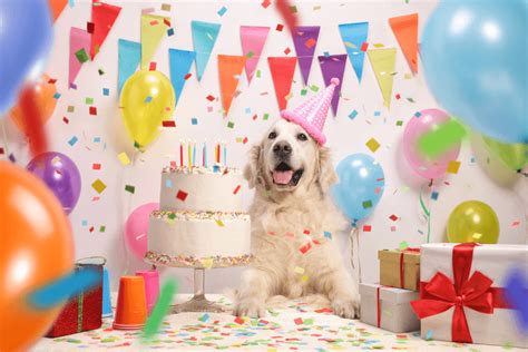 cumpleaños de perros